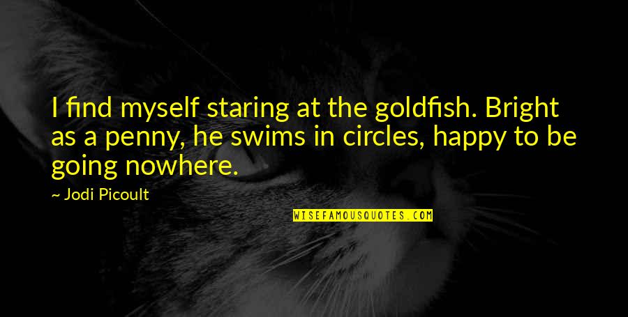 Going In Circles Quotes By Jodi Picoult: I find myself staring at the goldfish. Bright