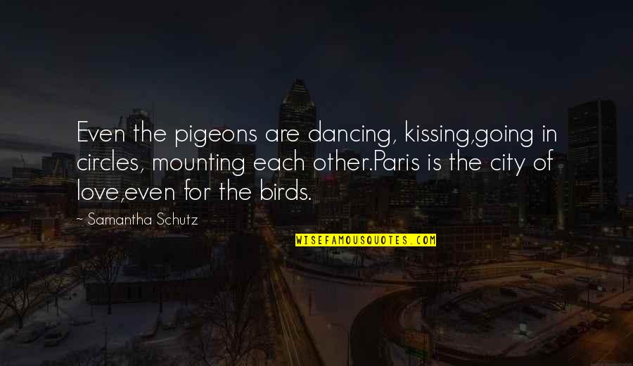 Going In Circles Quotes By Samantha Schutz: Even the pigeons are dancing, kissing,going in circles,