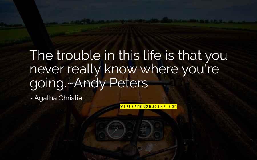 Going In Life Quotes By Agatha Christie: The trouble in this life is that you