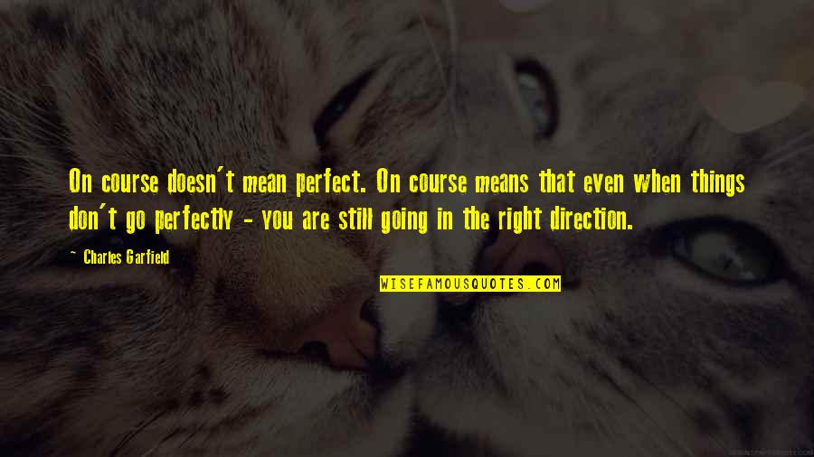 Going In The Right Direction Quotes By Charles Garfield: On course doesn't mean perfect. On course means