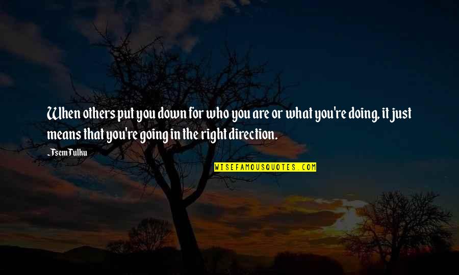 Going In The Right Direction Quotes By Tsem Tulku: When others put you down for who you