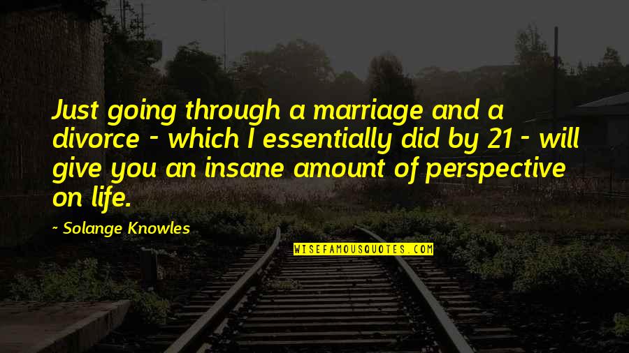 Going Insane Quotes By Solange Knowles: Just going through a marriage and a divorce
