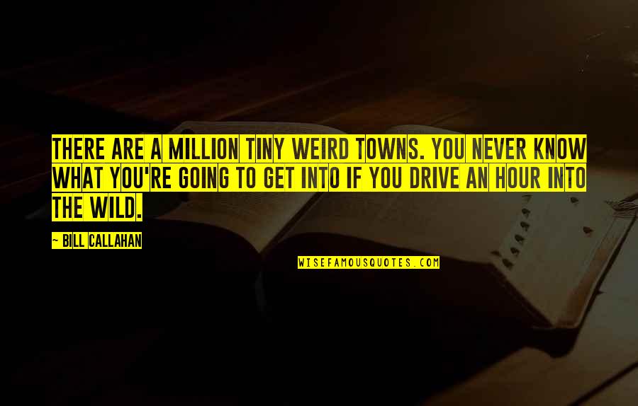 Going Into The Wild Quotes By Bill Callahan: There are a million tiny weird towns. You