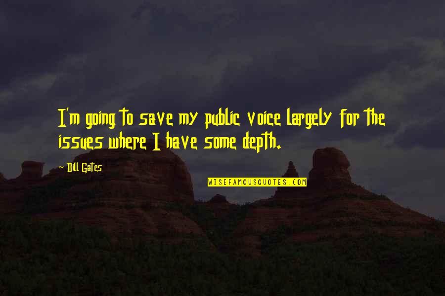 Going Public Quotes By Bill Gates: I'm going to save my public voice largely