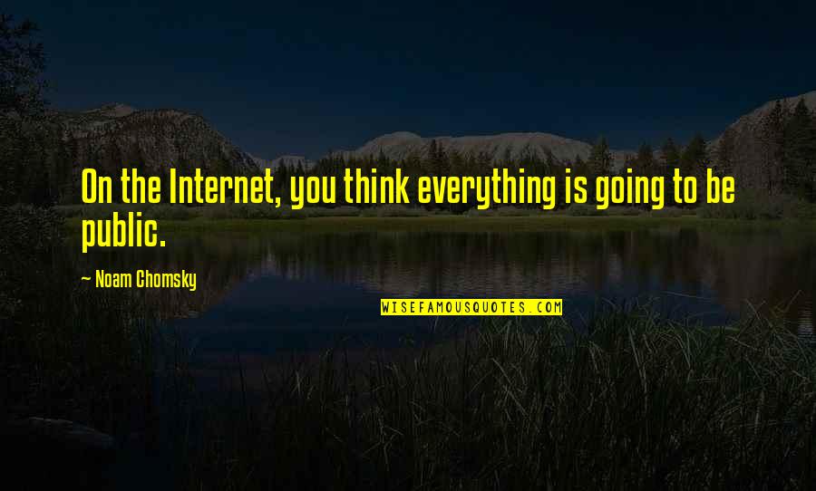 Going Public Quotes By Noam Chomsky: On the Internet, you think everything is going