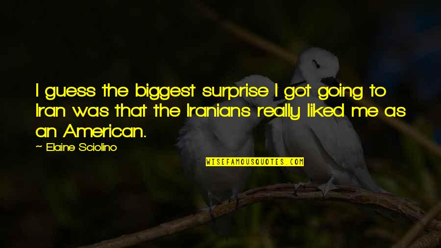 Going Quotes By Elaine Sciolino: I guess the biggest surprise I got going