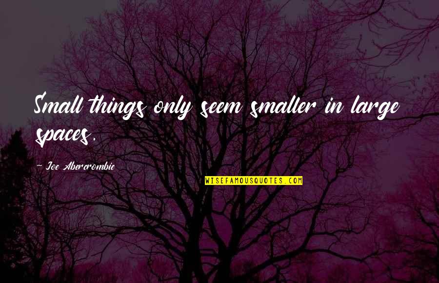 Going Through Hell To Get To Heaven Quotes By Joe Abercrombie: Small things only seem smaller in large spaces. Going Through Hell To Get To Heaven Quotes By Joe Abercrombie: Small things only seem smaller in large spaces.