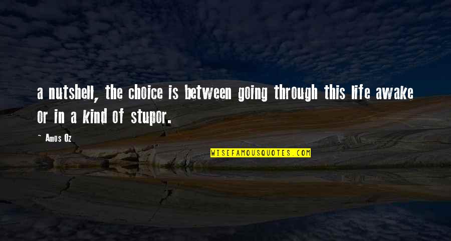 Going Through Life Quotes By Amos Oz: a nutshell, the choice is between going through