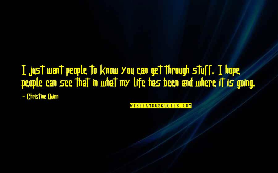 Going Through Life Quotes By Christine Quinn: I just want people to know you can