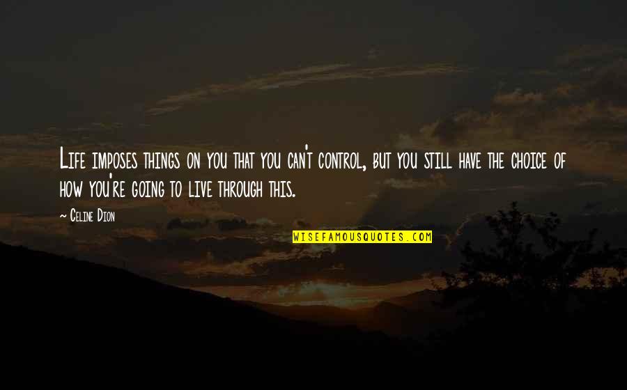 Going Through Things In Life Quotes By Celine Dion: Life imposes things on you that you can't