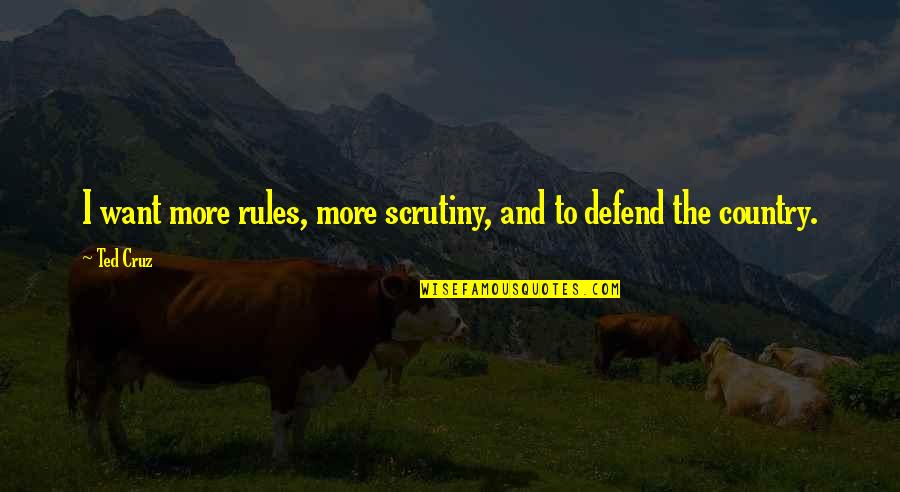 Going To Church On Sunday Quotes By Ted Cruz: I want more rules, more scrutiny, and to
