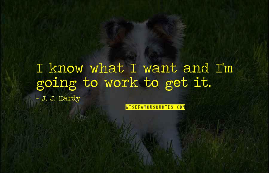 Going To Get What You Want Quotes By J. J. Hardy: I know what I want and I'm going