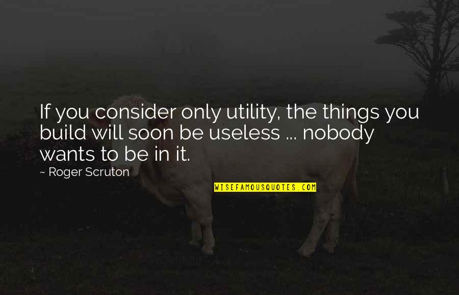 Going To Graduate School Quotes By Roger Scruton: If you consider only utility, the things you