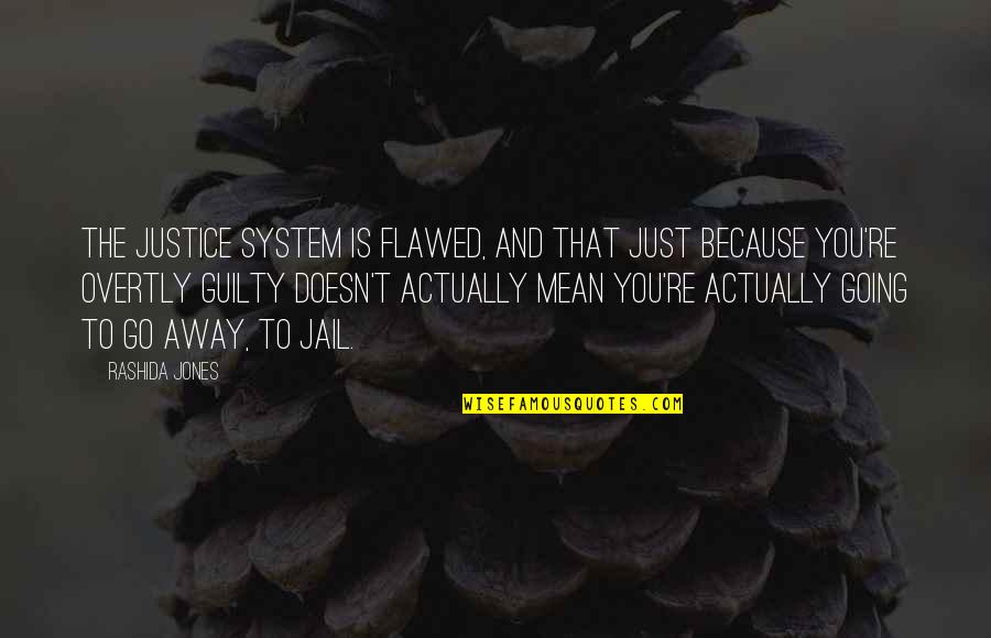 Going To Jail Quotes By Rashida Jones: The justice system is flawed, and that just Going To Jail Quotes By Rashida Jones: The justice system is flawed, and that just