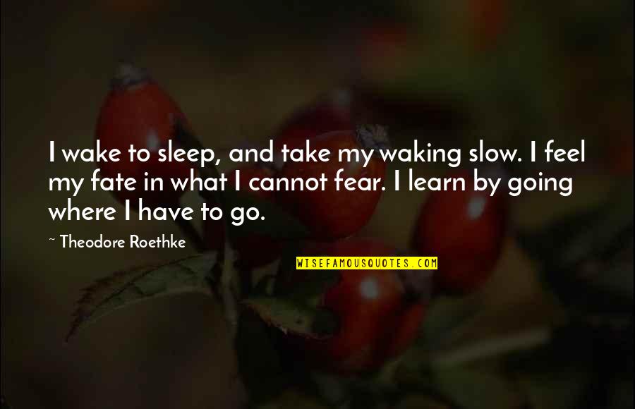 Going To Sleep Quotes By Theodore Roethke: I wake to sleep, and take my waking