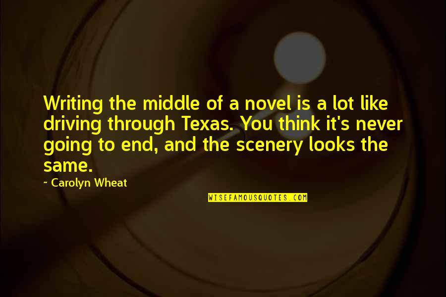 Going To Texas Quotes By Carolyn Wheat: Writing the middle of a novel is a
