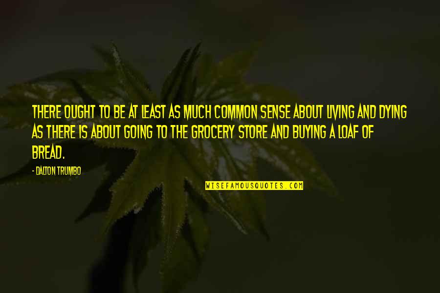 Going To The Grocery Store Quotes By Dalton Trumbo: There ought to be at least as much