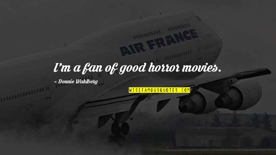 Going To Vacation Quotes By Donnie Wahlberg: I'm a fan of good horror movies.