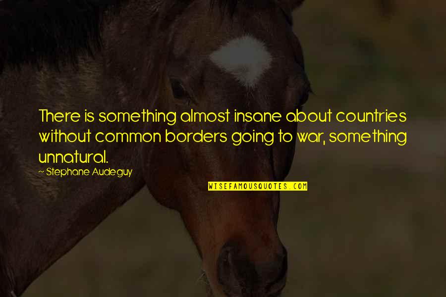 Going To War Quotes By Stephane Audeguy: There is something almost insane about countries without