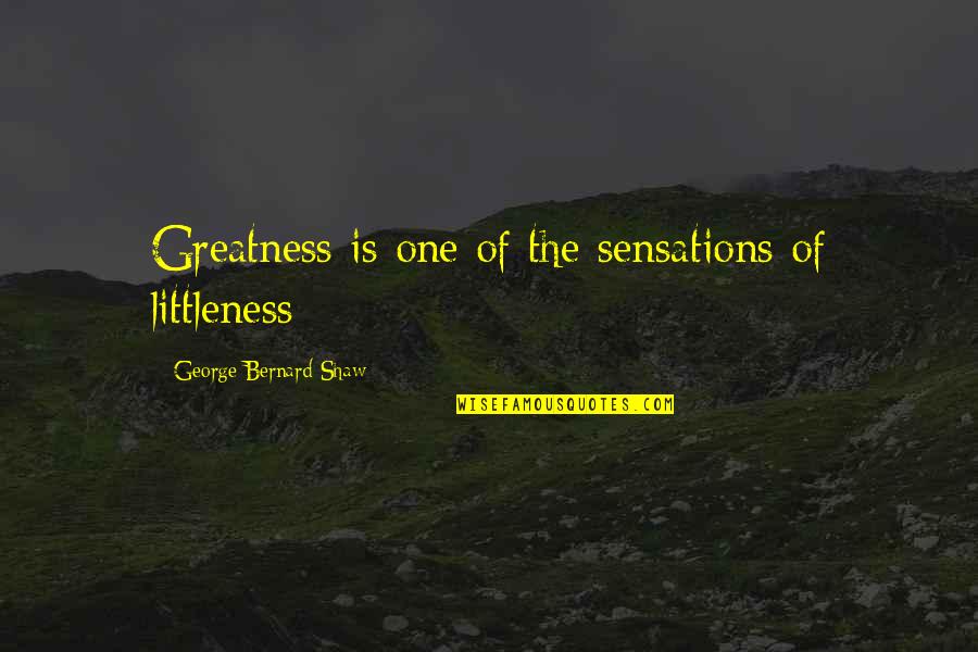 Going To Work Again Quotes By George Bernard Shaw: Greatness is one of the sensations of littleness