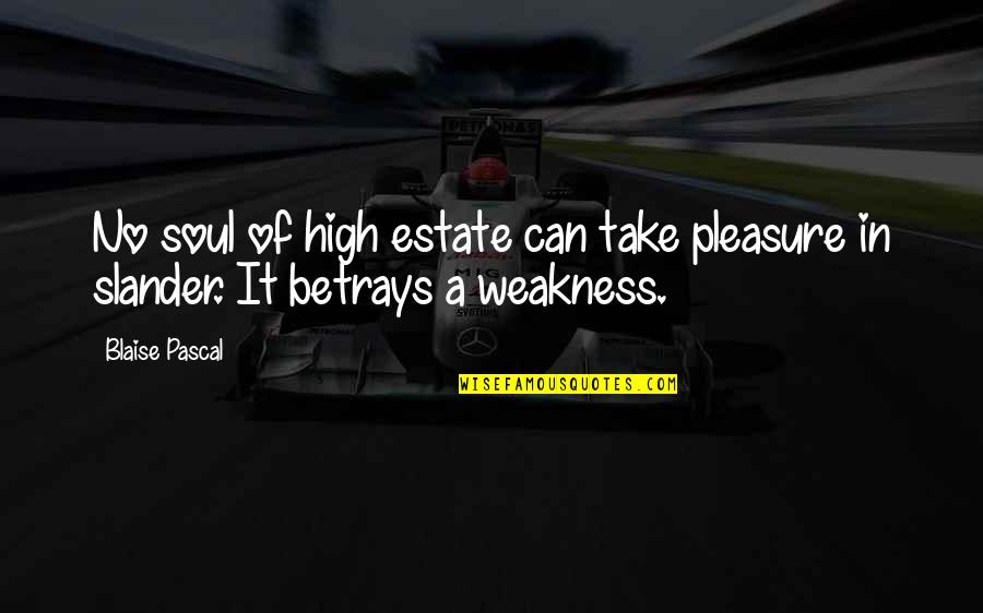 Going Too Far Jennifer Echols Quotes By Blaise Pascal: No soul of high estate can take pleasure