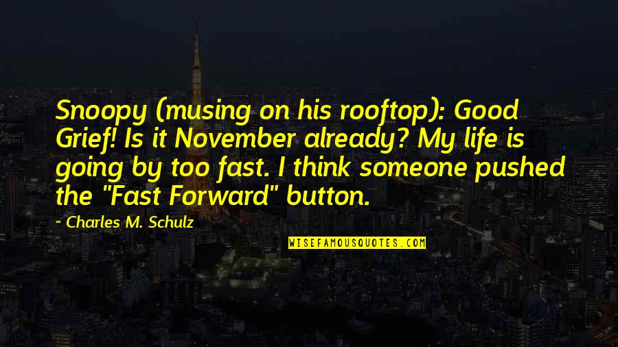 Going Too Fast In Life Quotes By Charles M. Schulz: Snoopy (musing on his rooftop): Good Grief! Is