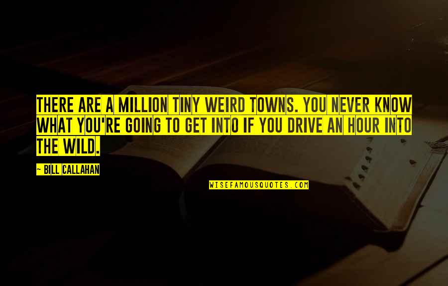 Going Wild Quotes By Bill Callahan: There are a million tiny weird towns. You Going Wild Quotes By Bill Callahan: There are a million tiny weird towns. You