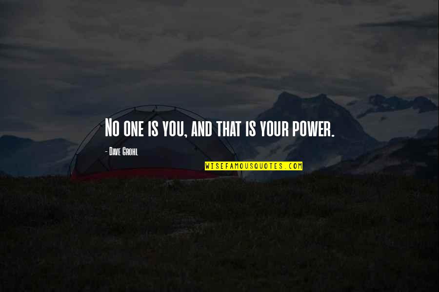 Going With The Flow Of Life Quotes By Dave Grohl: No one is you, and that is your