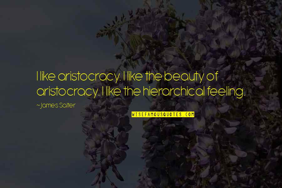 Gokce Ertugrul Quotes By James Salter: I like aristocracy. I like the beauty of Gokce Ertugrul Quotes By James Salter: I like aristocracy. I like the beauty of