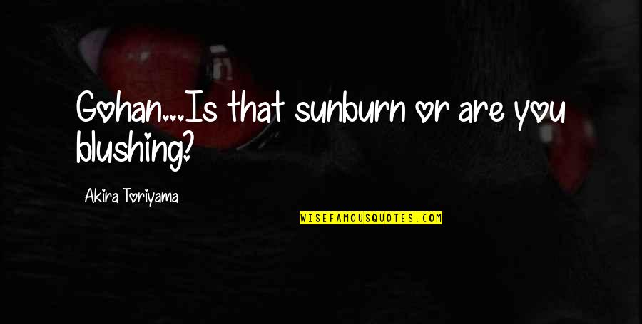Goku Funny Quotes By Akira Toriyama: Gohan...Is that sunburn or are you blushing? Goku Funny Quotes By Akira Toriyama: Gohan...Is that sunburn or are you blushing?