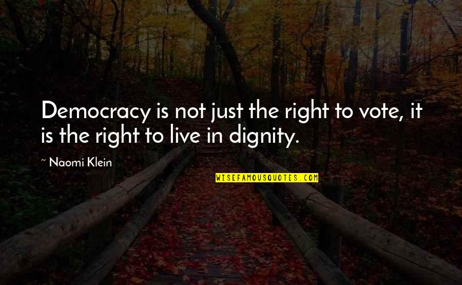 Gold Dust Quotes By Naomi Klein: Democracy is not just the right to vote,