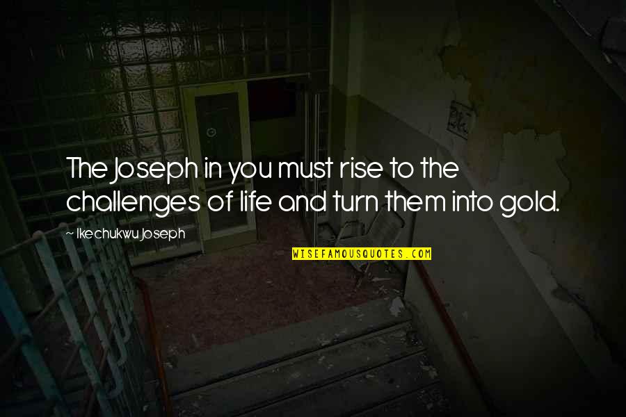 Gold In Life Quotes By Ikechukwu Joseph: The Joseph in you must rise to the