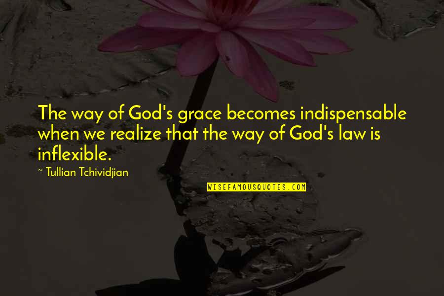 Gold Necklace Quotes By Tullian Tchividjian: The way of God's grace becomes indispensable when