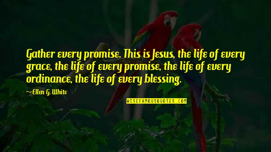 Gold Star Quotes By Ellen G. White: Gather every promise. This is Jesus, the life
