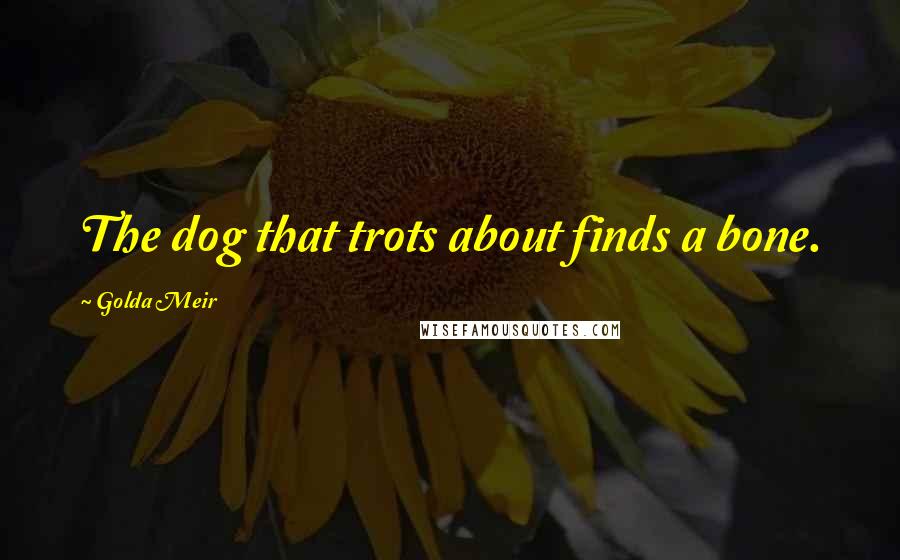 Golda Meir quotes: The dog that trots about finds a bone.