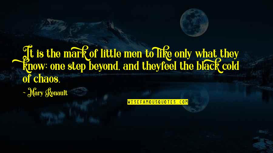 Goldacre Ted Quotes By Mary Renault: It is the mark of little men to