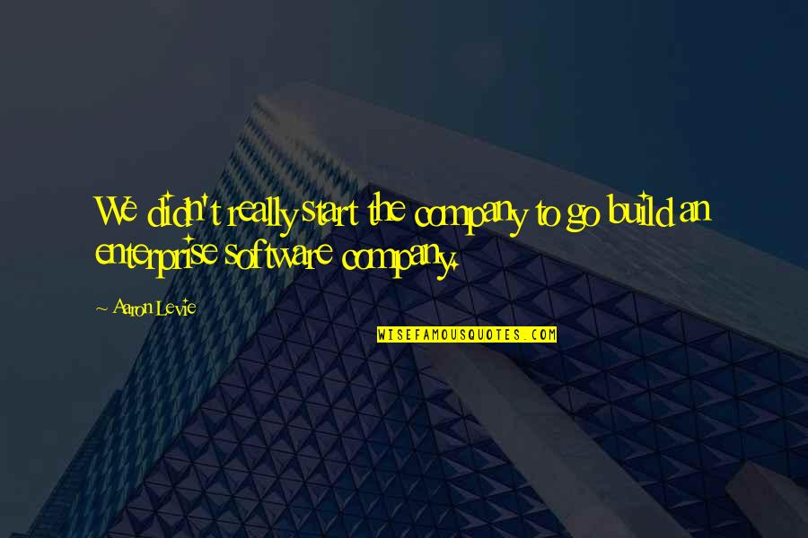 Golden Gate Bridge Jumper Survivor Quote Quotes By Aaron Levie: We didn't really start the company to go