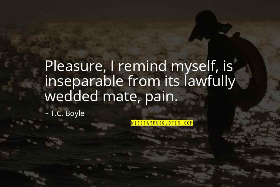 Golden Globe Quotes By T.C. Boyle: Pleasure, I remind myself, is inseparable from its