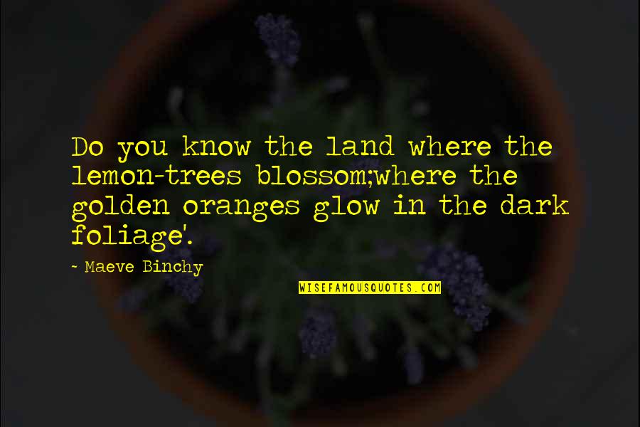 Golden Glow Quotes By Maeve Binchy: Do you know the land where the lemon-trees