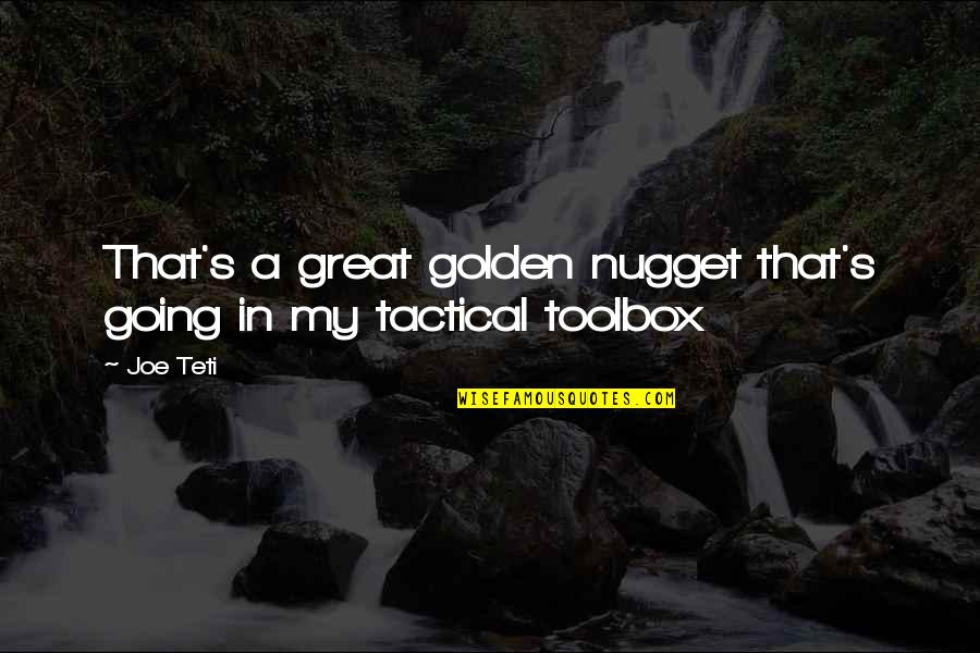 Golden Nuggets Quotes By Joe Teti: That's a great golden nugget that's going in