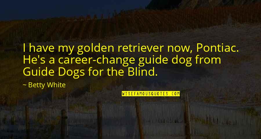 Golden Retriever Dog Quotes By Betty White: I have my golden retriever now, Pontiac. He's