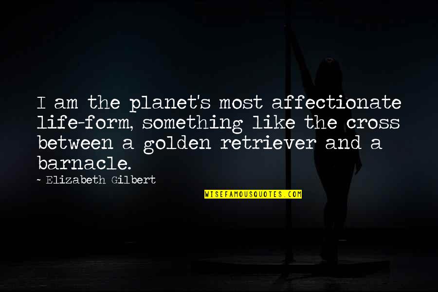 Golden Retriever Quotes By Elizabeth Gilbert: I am the planet's most affectionate life-form, something