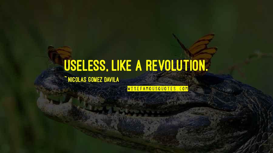 Goldfields Sacramento Quotes By Nicolas Gomez Davila: Useless, like a revolution.