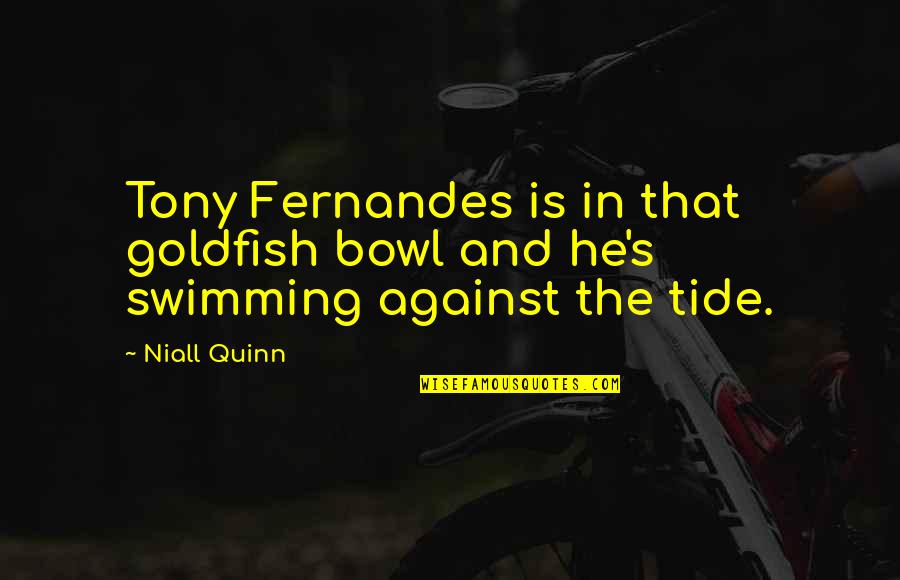 Goldfish Swimming Quotes By Niall Quinn: Tony Fernandes is in that goldfish bowl and