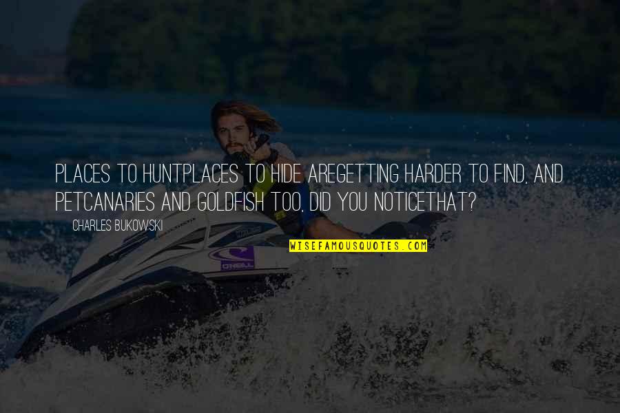 Goldfish's Quotes By Charles Bukowski: Places to huntplaces to hide aregetting harder to Goldfish's Quotes By Charles Bukowski: Places to huntplaces to hide aregetting harder to