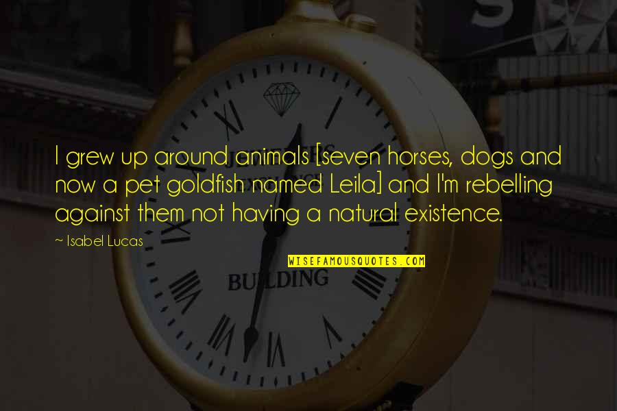 Goldfish's Quotes By Isabel Lucas: I grew up around animals [seven horses, dogs Goldfish's Quotes By Isabel Lucas: I grew up around animals [seven horses, dogs