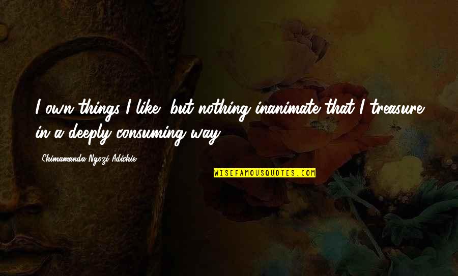 Goldner And Associates Quotes By Chimamanda Ngozi Adichie: I own things I like, but nothing inanimate Goldner And Associates Quotes By Chimamanda Ngozi Adichie: I own things I like, but nothing inanimate