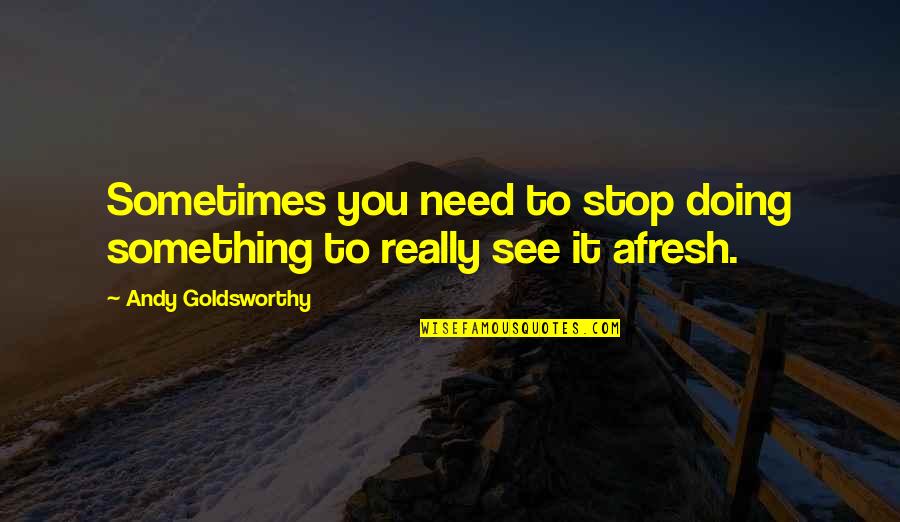 Goldsworthy Quotes By Andy Goldsworthy: Sometimes you need to stop doing something to