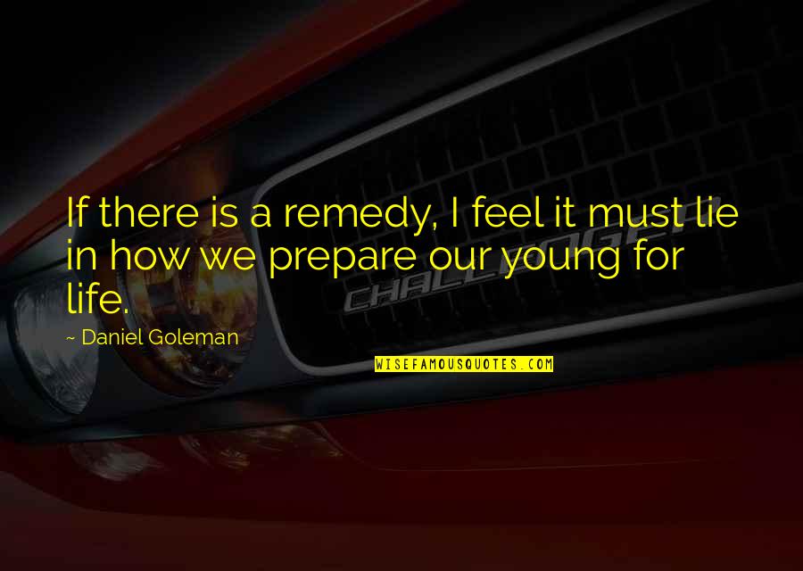 Goleman Quotes By Daniel Goleman: If there is a remedy, I feel it