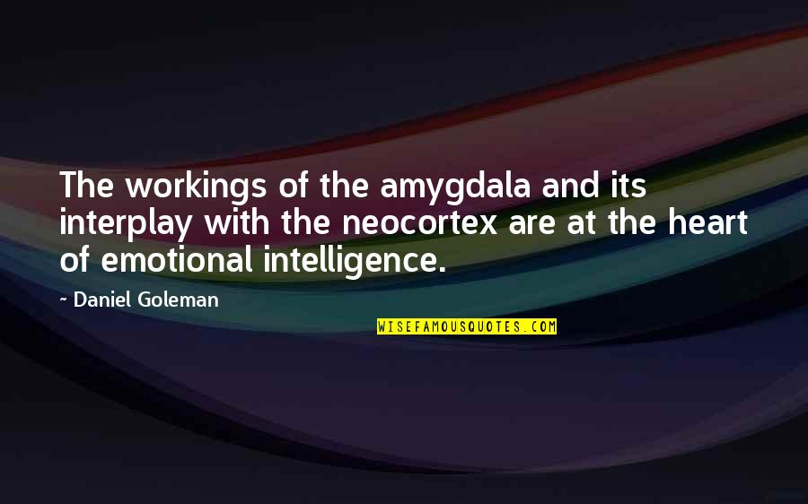 Goleman Quotes By Daniel Goleman: The workings of the amygdala and its interplay